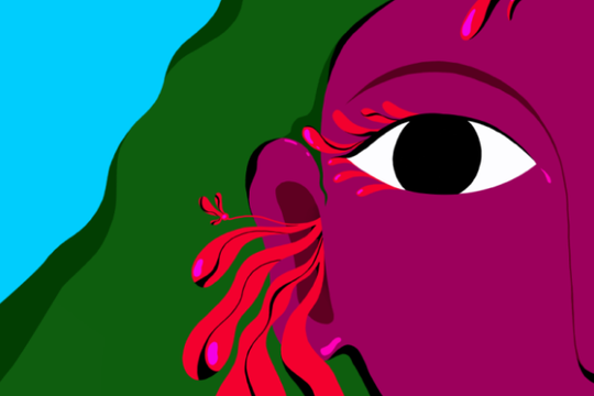 Terraviva Film Festival 2025 a Bologna